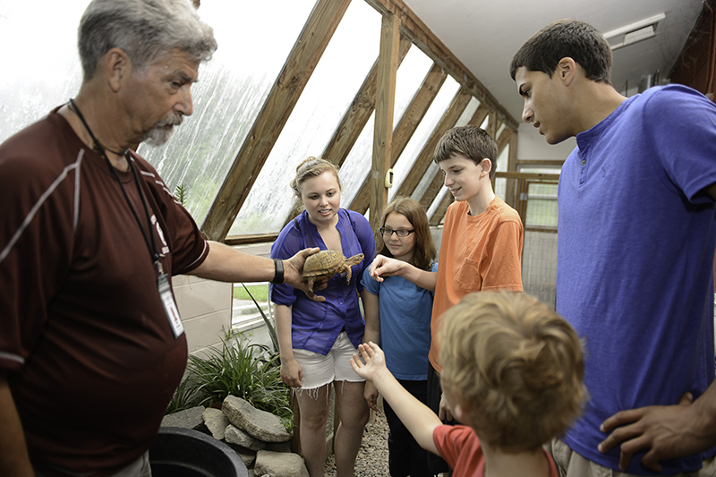 Fentanyl Rehab FacilityRochelle GA